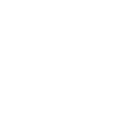 Social Icon