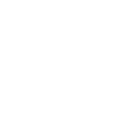 Social Icon