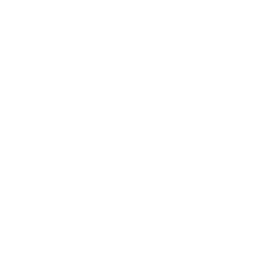 Social Icon
