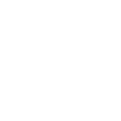 Social Icon