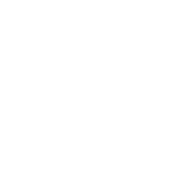 Social Icon