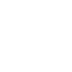 Social Icon