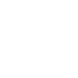 Social Icon